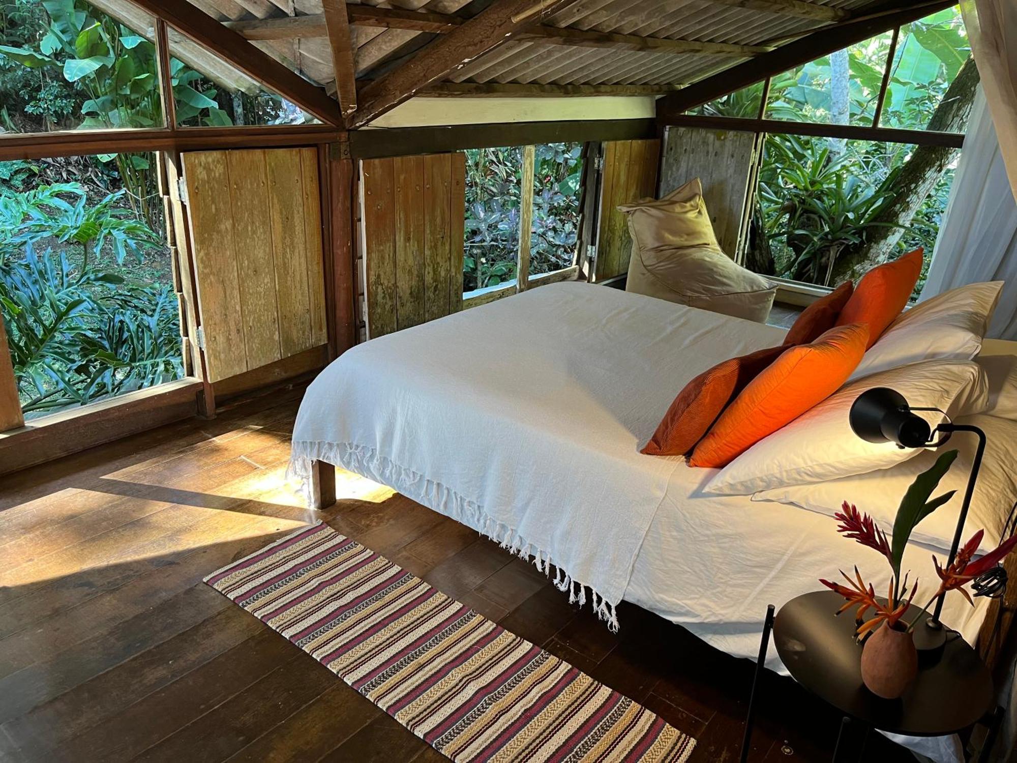 Casa de hóspedes Jungle