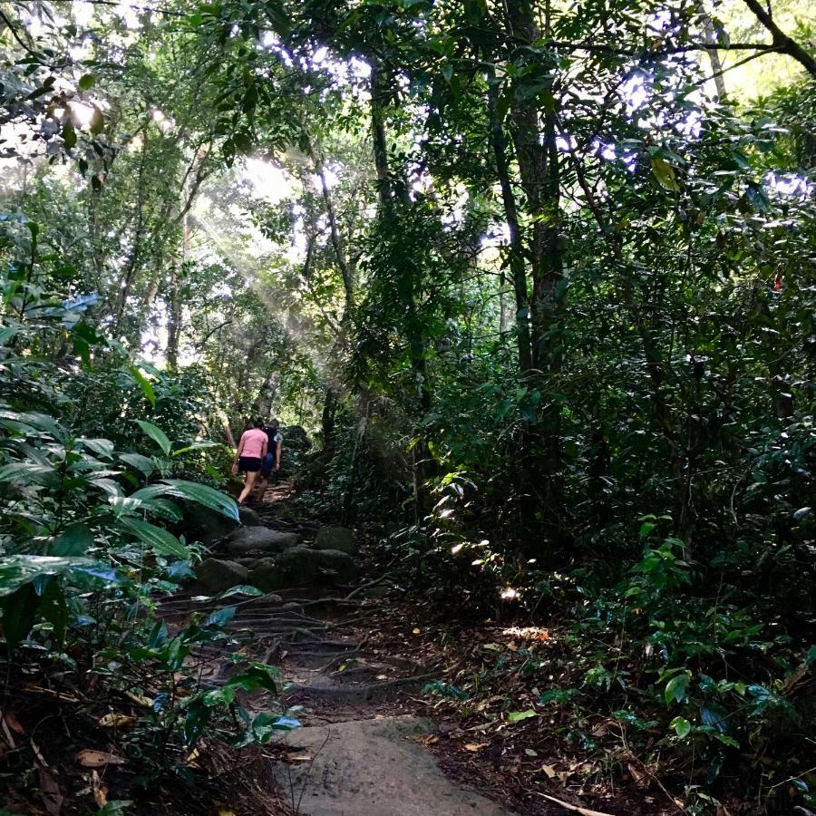 Jungle Casa de hóspedes