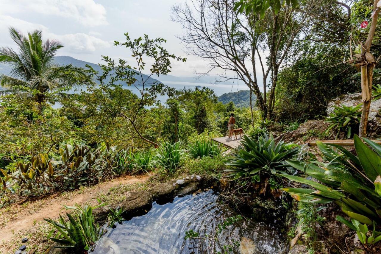 Jungle * Ilha Grande