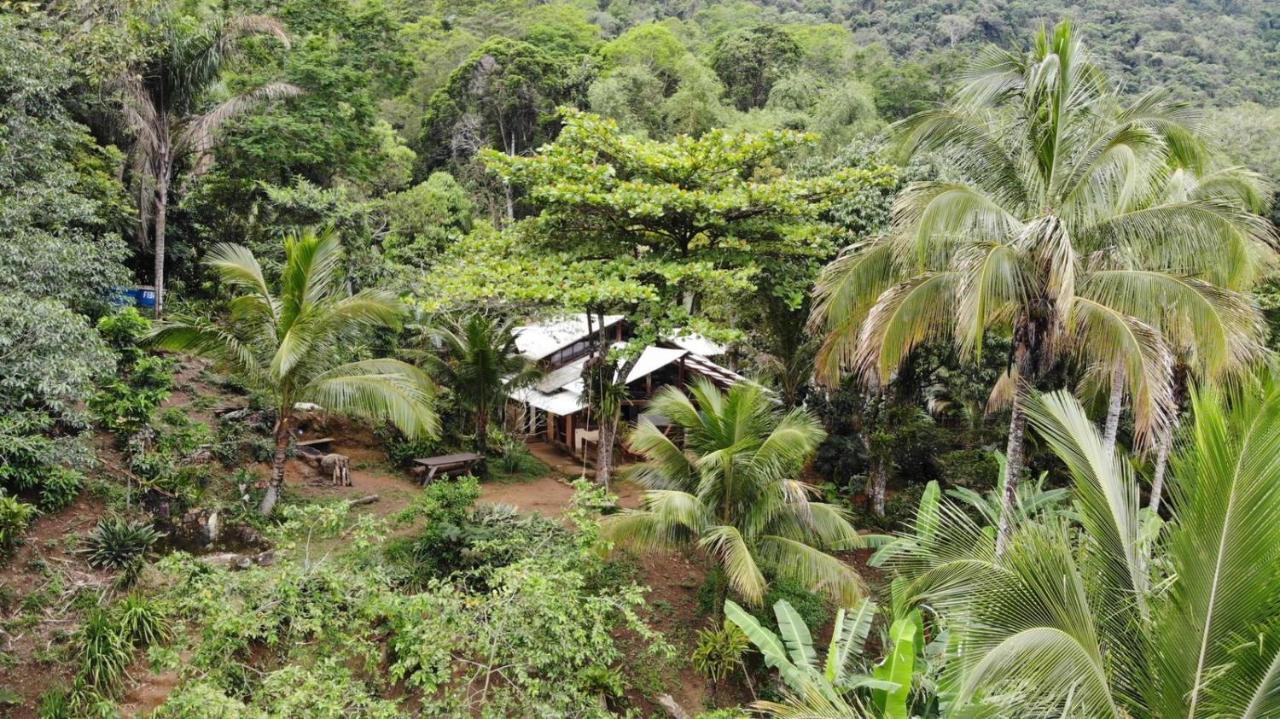 Jungle Casa de hóspedes